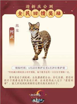 霸主天龙八部私服源码